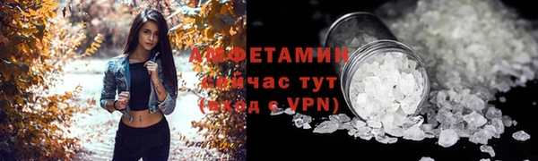 прущие грибы Верхний Тагил